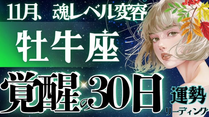 【牡牛座】【神運】11月‥鳥肌モンです。今辛いなと感じる全ての牡牛座さんへ💐魂レベルの強運期【星読みタロット】