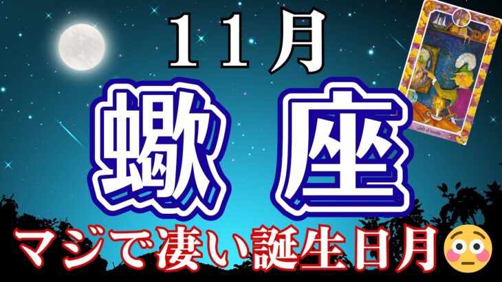 ♏️さそり座【11月】マジで凄い誕生日月😳オラクルタロットリーディング