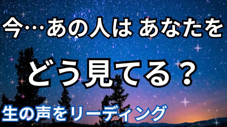 【想像よりも深い想い】あの人はあなたの事をどう見てるか聞きました。怖いくらい当たる｜恋愛タロット占い❤️｜オラクルカード細密リーディング