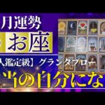 【魚座♓️11月運勢】うわっすごい！個人鑑定級のグランタブローリーディング✨犠牲になることや辛い事は終了！あなた本来になる道が用意されている！（仕事運　金運）タロット＆オラクル＆ルノルマンカード