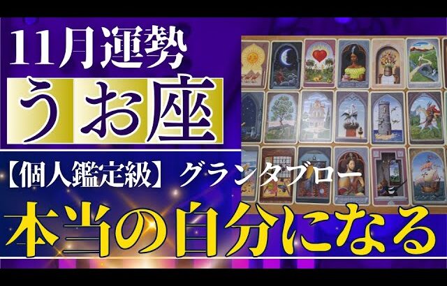 【魚座♓️11月運勢】うわっすごい！個人鑑定級のグランタブローリーディング✨犠牲になることや辛い事は終了！あなた本来になる道が用意されている！（仕事運　金運）タロット＆オラクル＆ルノルマンカード