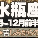 【みずがめ座】11月全体～12月前半運勢　涙の完結へ😢苦しみからの解放、どんなことも決して無駄じゃない💎✨心が晴れていく、みんなと幸せに💐【水瓶座 １１月】【水瓶座 １２月】タロットリーディング