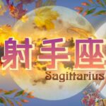 【11月前半✴︎射手座】人と関わりが増える時！人を通して得られる豊かな視点🤍✴︎🌿線引きはしっかり【2025】