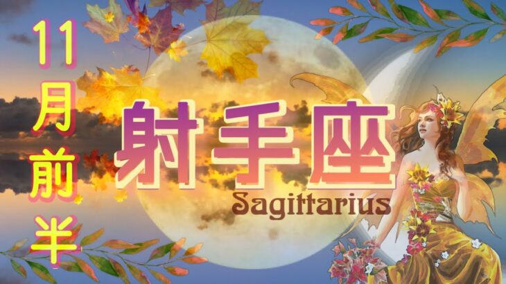 【11月前半✴︎射手座】人と関わりが増える時!人を通して得られる豊かな視点🤍✴︎🌿線引きはしっかり【2025】