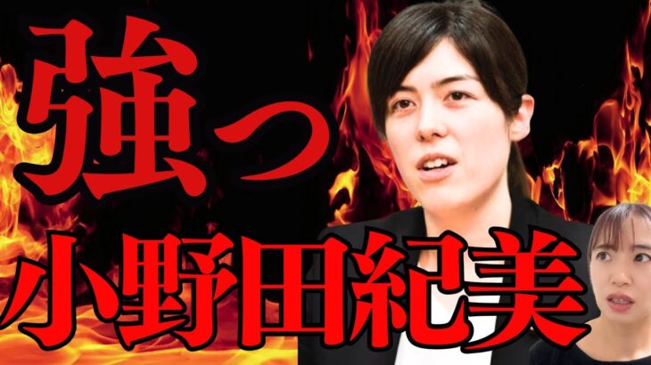 もはや無双!日本よ変われ!自民党小野田紀美経済安全保障担当大臣の命式とは#算命学#高市政権