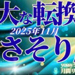 11月の運勢🧚さそり座　この流れ、震えました…😭✨ここからの3ヶ月が勝負です！運命がかみ合う瞬間は必ずやって来る(お金・仕事・人間関係)