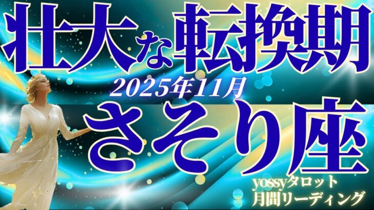 11月の運勢🧚さそり座 この流れ、震えました…😭✨ここからの3ヶ月が勝負です!運命がかみ合う瞬間は必ずやって来る(お金・仕事・人間関係)
