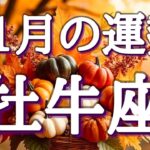 #牡牛座♉️さんの11月🍁カード引いてて鳥肌級でした🎉※個人鑑定級⚠️表示されたら開運のタイミング✌️