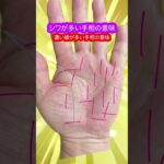 シワが多い手相とは？ #手相 #雑学 #プチ知識 #占い