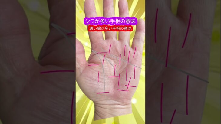 シワが多い手相とは？ #手相 #雑学 #プチ知識 #占い