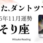 さそり座11月は震える幸せ🌈大浄化からの無双モードで今年一番すごすぎるぅ〜！♏️2025年11月運勢仕事恋愛人間関係【癒しのタロット個人鑑定級】