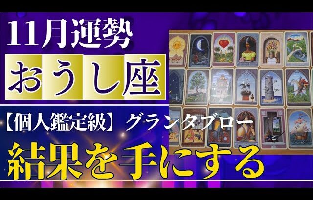 【牡牛座♉️11月運勢】うわっすごい！個人鑑定級のグランタブローリーディング✨凄すぎる結果に驚きが隠せません！満月のミラクルギフト受け取って！（仕事運　金運）タロット＆オラクル＆ルノルマンカード