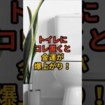 トイレに置くだけで金運が爆上がりするもの3選 #shorts #スピリチュアル #開運 #運気