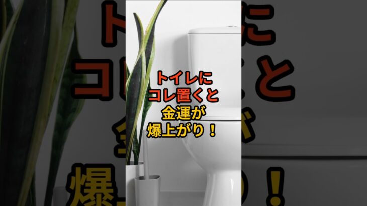 トイレに置くだけで金運が爆上がりするもの3選 #shorts #スピリチュアル #開運 #運気