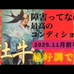 【11月前半💙】牡牛座さんの運勢♉️障害ってなに?最高のコンディション✨絶好調です!!