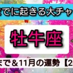 牡牛座【2025年☆年末までに起きる大チャンス！】11月の運勢🌟仕事、恋愛、人間関係運、金運、スピリチュアルな領域からのメッセージ……あなたが手に入れるものとは!？👑星とカードで徹底リーディング🌸