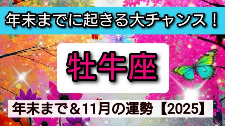 牡牛座【2025年☆年末までに起きる大チャンス!】11月の運勢🌟仕事、恋愛、人間関係運、金運、スピリチュアルな領域からのメッセージ……あなたが手に入れるものとは!?👑星とカードで徹底リーディング🌸