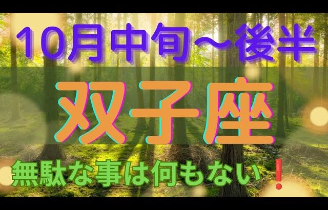 【双子座♊️】人生無駄な時間は無い❗️深く探った後🌈訪れる幸運✨️