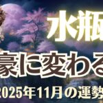 【水瓶座】2025年11月「みずがめ座の運勢」