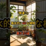 風水的にNGな置き方3選 #観葉植物 #植物 #植物のある暮らし #風水 #運気アップ #雑学 #shorts