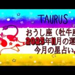 おうし座（牡牛座)・2025年11月の運勢｜今月の星占い.