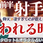 【射手座】仰天‼️✨凄すぎて心が震えた❗️家庭運 “超SP神回” 🙌✨💝【仕事運/対人運/家庭運/恋愛運/全体運】11月前半 タロット占い