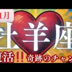 11月【牡羊座】〜復活‼️奇跡のチャンス到来✨🥺〜【ルノルマンカードグランタブロー＆オラクルカードリーディング】