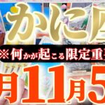 蟹座さんへ11月前半この日が凄い👑【断然！主役級😲本腰入れてラストスパートです】✡️キャラ別鑑定付き✡️　