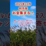 【射手座】2025年11月いて座占い #射手座 #いて座 #shorts