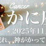 【かに座】2025年11月♋️ かに座さん、抜けた感半端ないわ、ここから脱皮したみたいに良くなる、もうだいぶはっきりする