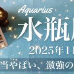 【みずがめ座】2025年11月♒️ みずがめ座さん、遂に来ちゃった…眩し過ぎで目が開けられない夜明け、一気に動く、勝利の兆し