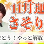 11月 さそり座の運勢♏️ / もう大丈夫！迷いがシャキッと消えていく！【トートタロット & 西洋占星術】