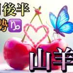 【山羊座】10月後半の運勢❤️神回！！スペシャル🥳こ、こ、これはすごい❤️‍🔥愛の大復活❤️‍🔥ベストなタイミングがやってくる🌈ハッピーエンドマンスリー　2025年　タロット占い
