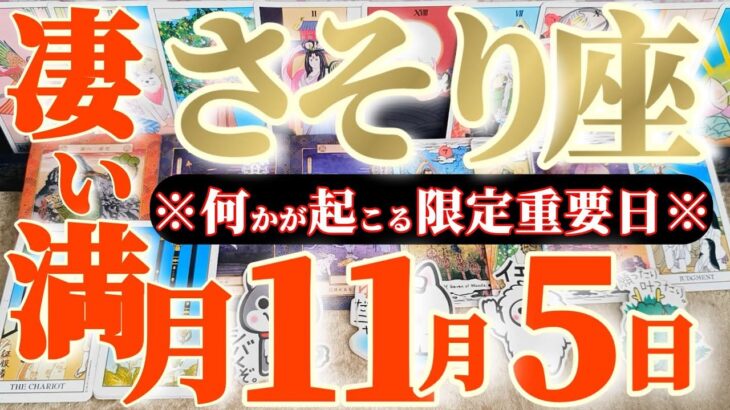蠍座さんへ11月前半この日が凄い👑【断然!不動です😲もう充分です】✡️キャラ別鑑定付き✡️