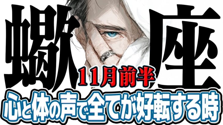 【さそり座11月前半】運命の答え合わせ! あなたが本当に輝く場所【癒しの眠れる占い】