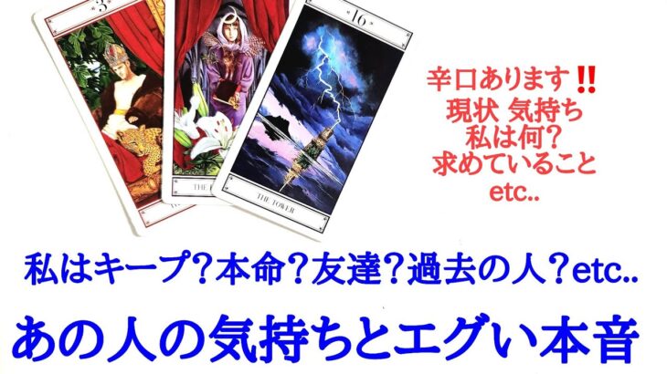 🌹恋愛タロット占い🌹辛口ありますご注意下さい‼️私はキープ？本命？友達？知り合い？それとも過去の人？あの人のあなたへの気持ちとエグい本音