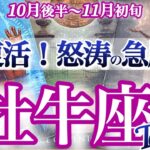 牡牛座 10月後半~11月初旬【緊急吉報！復活が約束されています】眉間にシワ、寄ってない？　　おうし座　　2025年11月タロットリーディング　Taurus　October　november