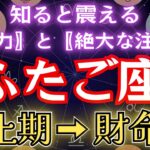 ふたご座の皆様。《もはや生涯安泰》絶大な注意点さえ意識すれば…。双子座2025年【停止期】→【財命期】を徹底解説！#金運 #占星術 #開運