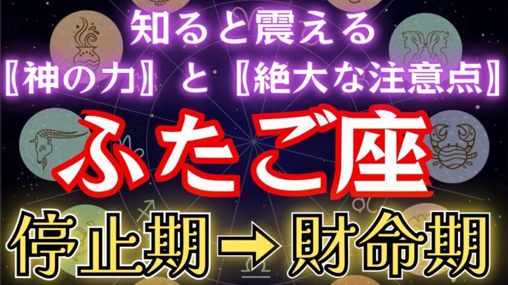 ふたご座の皆様。《もはや生涯安泰》絶大な注意点さえ意識すれば…。双子座2025年【停止期】→【財命期】を徹底解説!#金運 #占星術 #開運