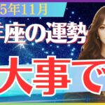 【山羊座】2025年11月のやぎ座の運勢