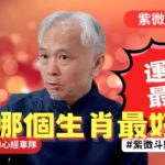 【紫微斗數】2026年哪個生肖最好！運氣最旺的生肖！錢財好不好！2026年流年運勢的錢財與工作！EP.304 －顯君他們的心經車隊【CC字幕】#紫微斗數 #運勢 #算命