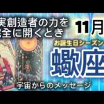 蠍座11月♏️現実創造者の力を完全に開くとき⭐️[宇宙からのメッセージ]お誕生日シーズン
