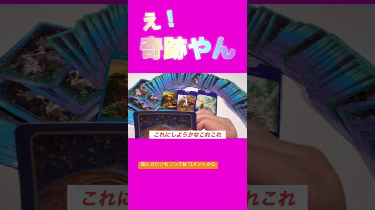 【恋愛タロット占い】今のお相手様の気持ち #占い #恋愛 #相手の本音