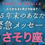 【蠍座♏️】神シンクロ😳史上No.1です✨年末どうなってる？未来のあなたがどうしても伝えたいこと💌タロット＆オラクル／Tarot&Oracle card reading／Scorpio