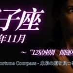 【双子座 11月星占い】大切な人との絆が深まり 過去から学ぶことが多い11月