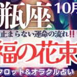 【水瓶座】想像超え🙌運命は止まらない🎉追い風！吹きまくる〜✨【仕事運/対人運/家庭運/恋愛運/全体運】10月後半 タロット占い
