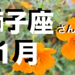 獅子座2025年11月の運勢・アドバイス【個人鑑定級】しし座さんへ ピンポイントに！かなり深めに いつもより詳しくお伝えしています【12星座タロットリーディング 有料級スピリチュアルライフハック】