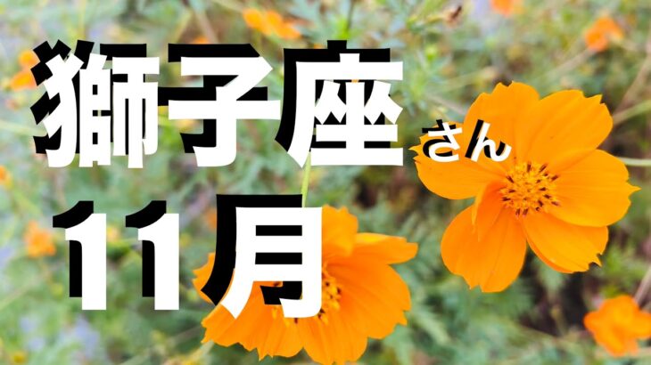 獅子座2025年11月の運勢・アドバイス【個人鑑定級】しし座さんへ ピンポイントに！かなり深めに いつもより詳しくお伝えしています【12星座タロットリーディング 有料級スピリチュアルライフハック】