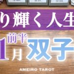 双子座♊️11月前半✨光り輝く人生へ‼️諦めなくて良かった、と思える🕊️自信を持って進んでいって💖