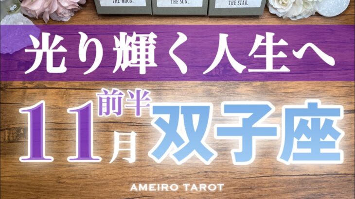 双子座♊️11月前半✨光り輝く人生へ‼️諦めなくて良かった、と思える🕊️自信を持って進んでいって💖